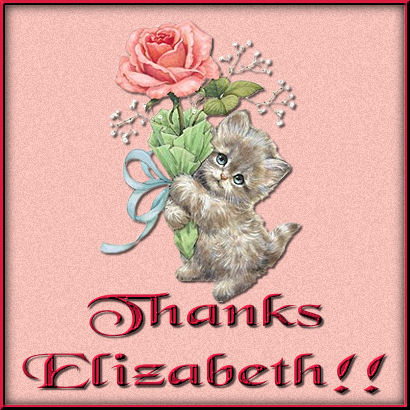 Thanks Elizabeth!!